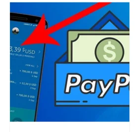 Paypal Logs Tool